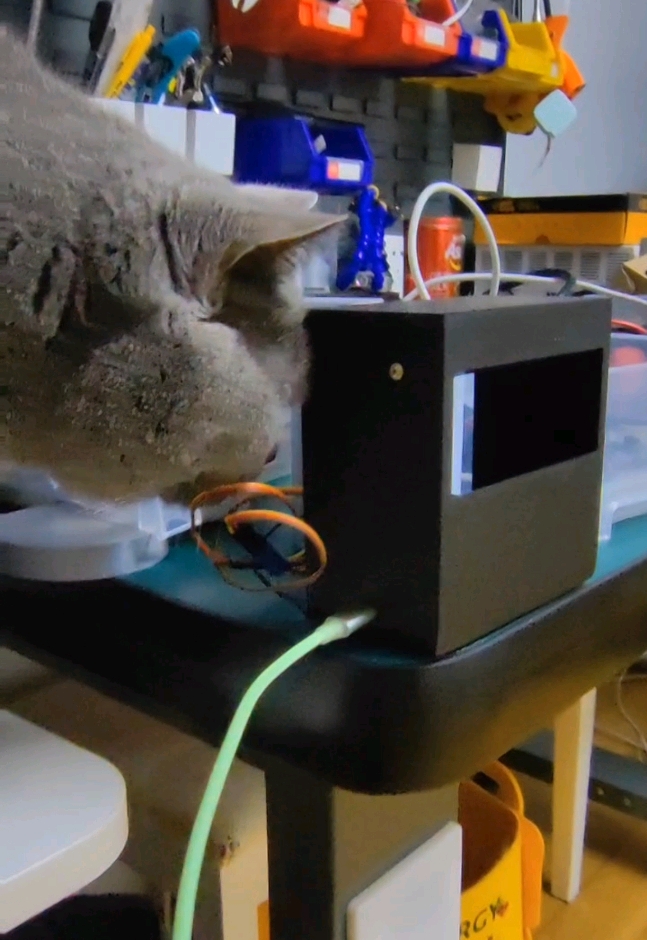 cat_laser_toy_004.jpg